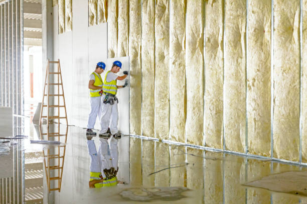 Best Commercial Insulation in Leesburg, FL